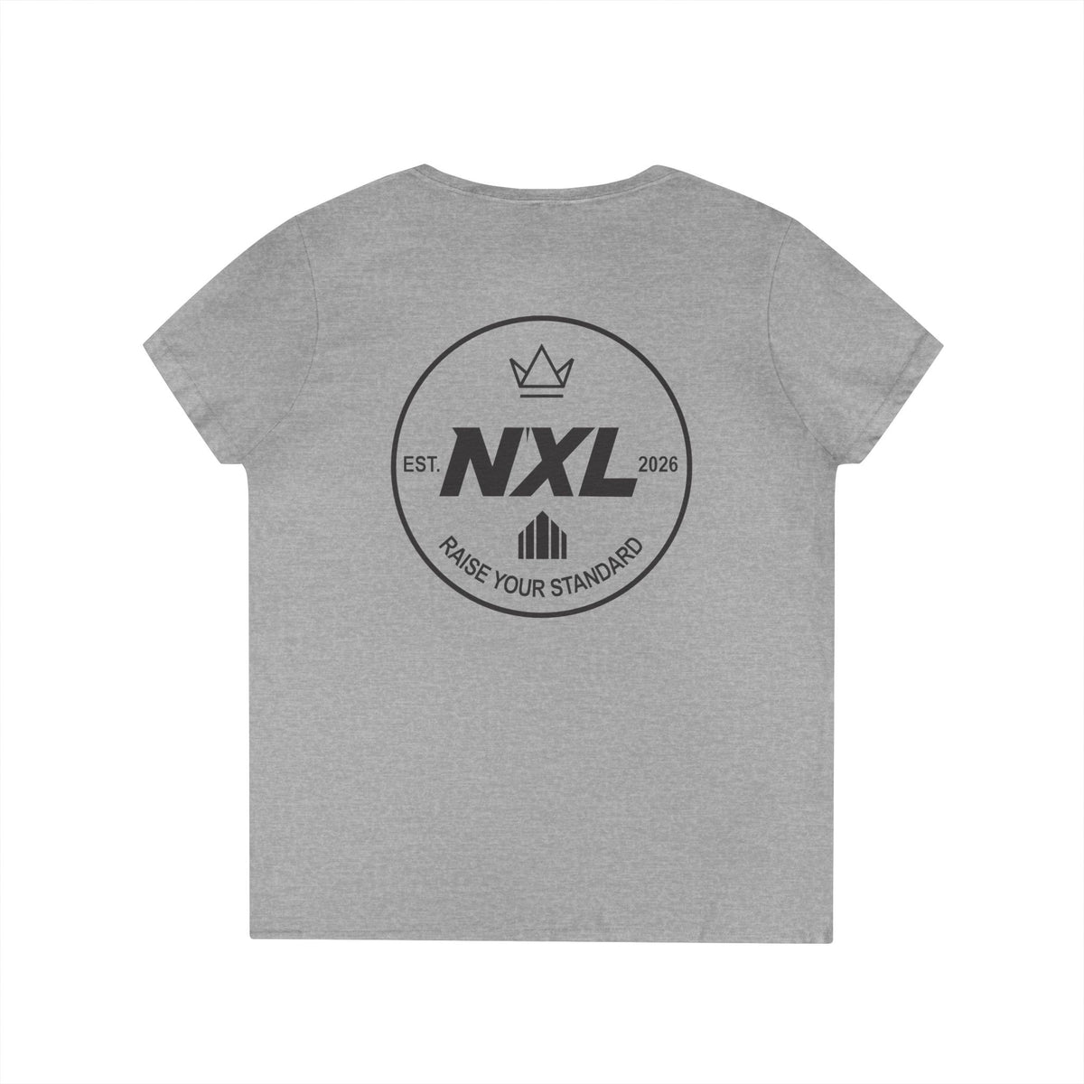 Ladies' V-Neck T-Shirt