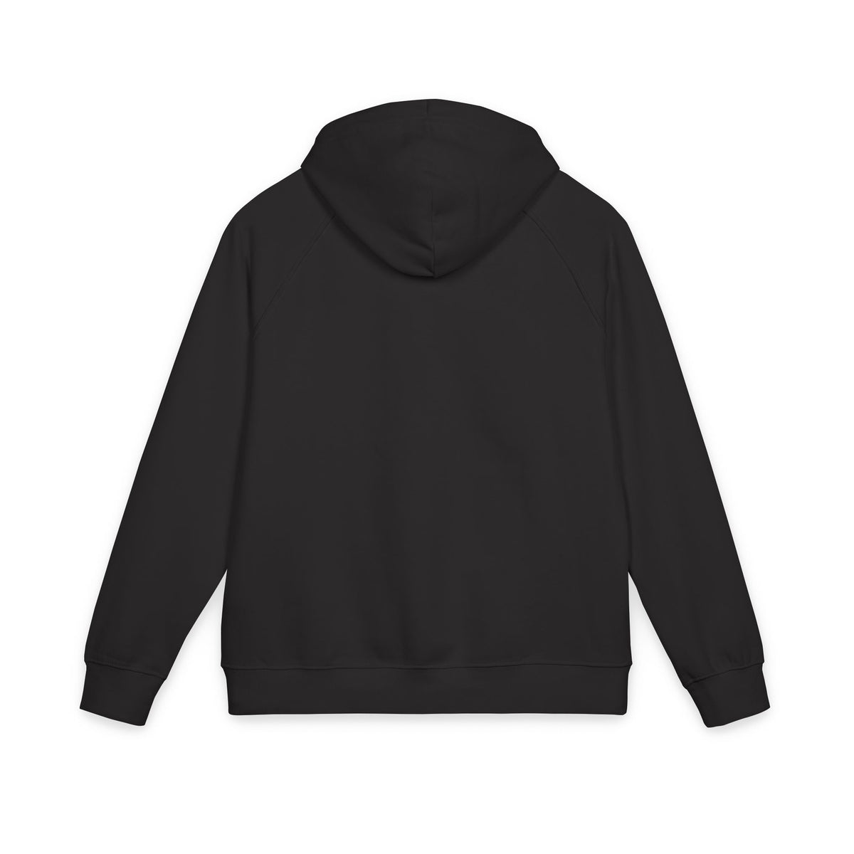Unisex Eco Raglan Hoodie (Embroidery)